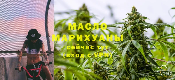молекула духа Богородицк