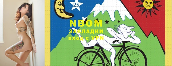 молекула духа Богородицк