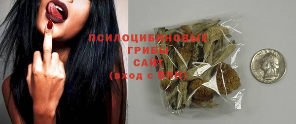 молекула духа Богородицк