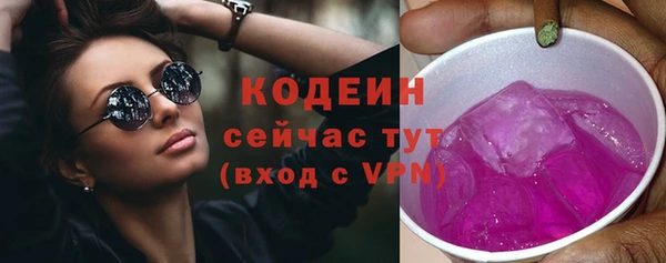 молекула духа Богородицк