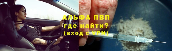 молекула духа Богородицк