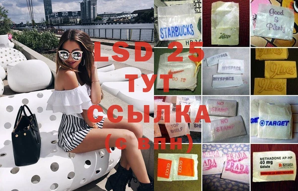 молекула духа Богородицк