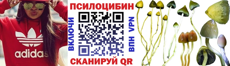 Купить закладки  Нерчинск  Галлюциногенные грибы Psilocybine cubensis 